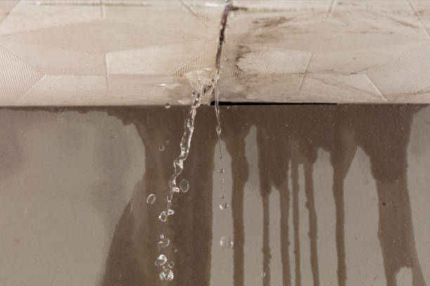 Professional Structural Drying technician working in New Lisbon, WI